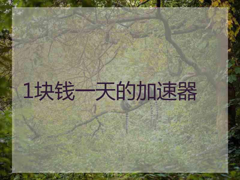1块钱一天的加速器