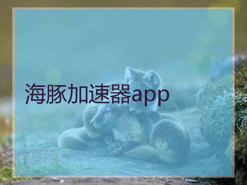 海豚加速器app