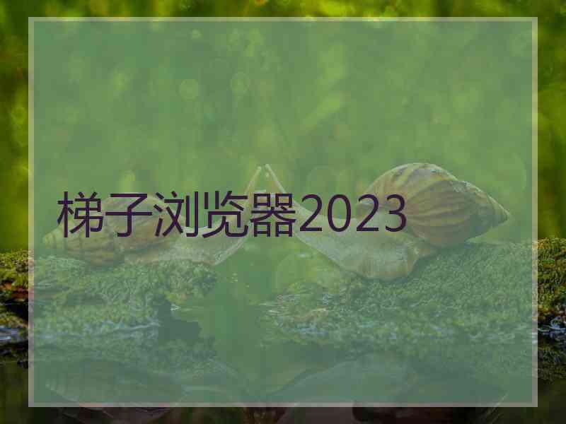 梯子浏览器2023