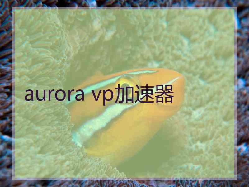 aurora vp加速器