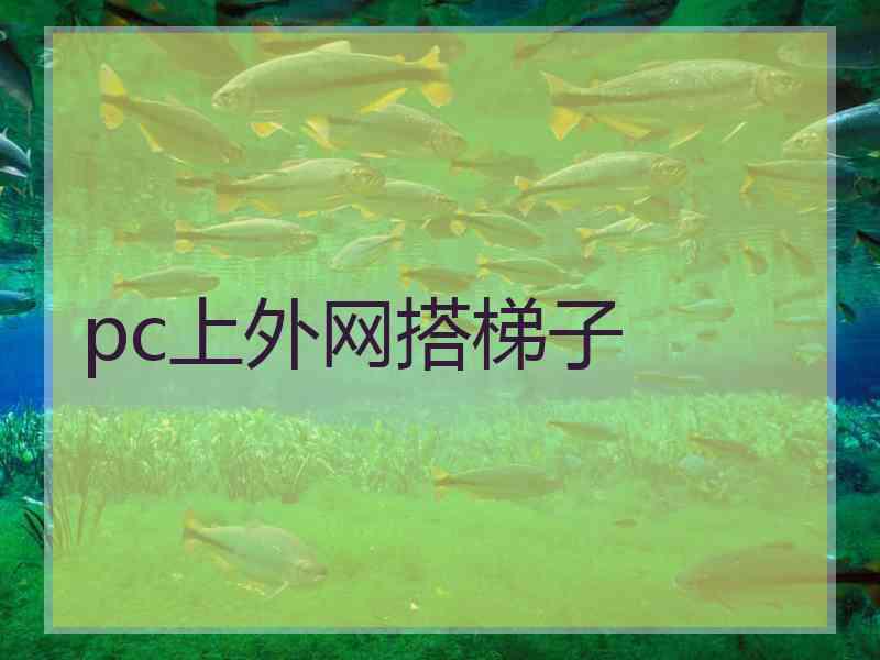 pc上外网搭梯子