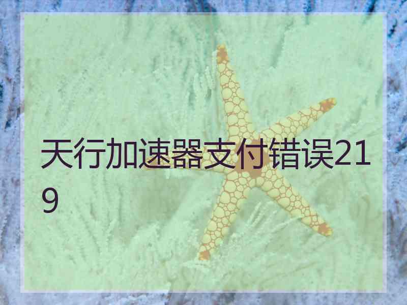 天行加速器支付错误219