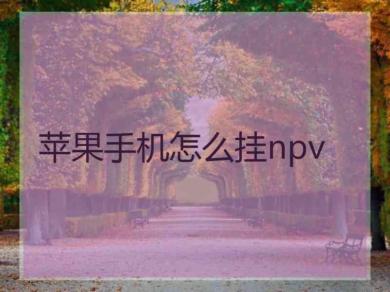 苹果手机怎么挂npv