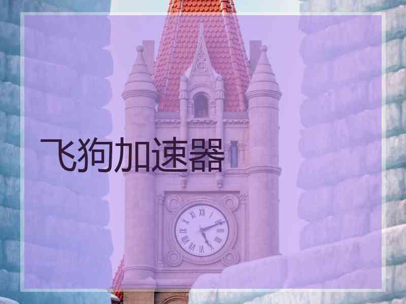 飞狗加速器