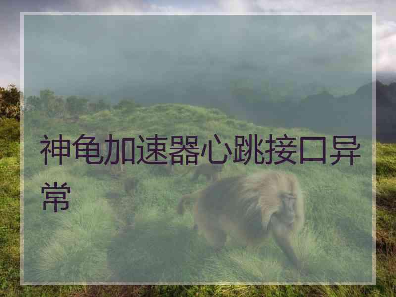 神龟加速器心跳接口异常
