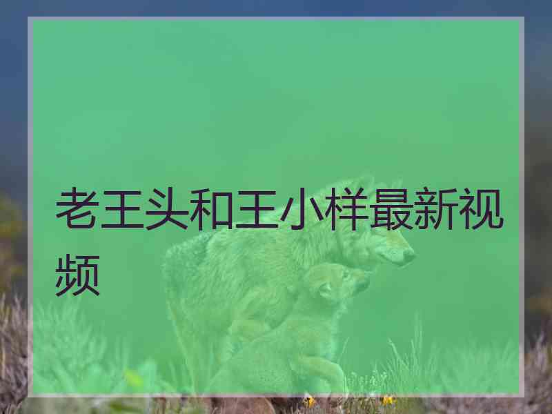 老王头和王小样最新视频