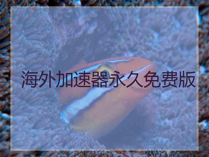 海外加速器永久免费版