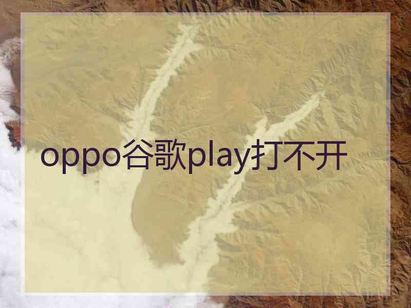 oppo谷歌play打不开