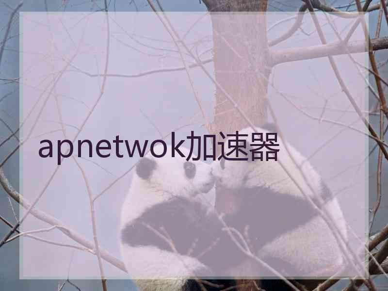 apnetwok加速器