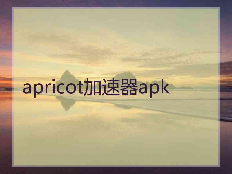 apricot加速器apk