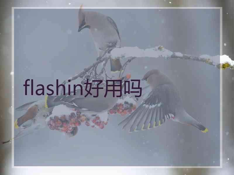 flashin好用吗