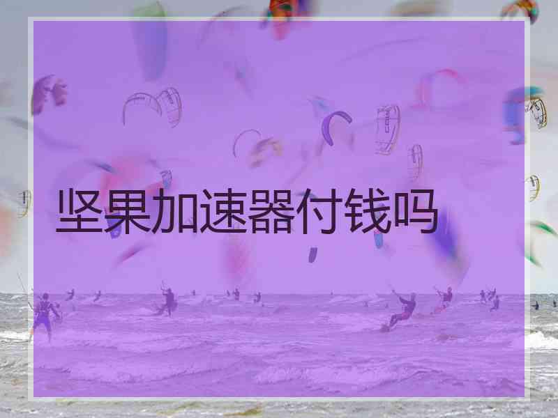 坚果加速器付钱吗