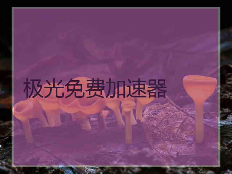 极光免费加速器