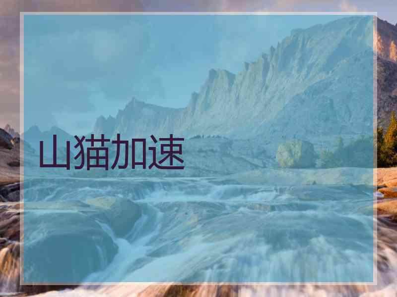 山猫加速