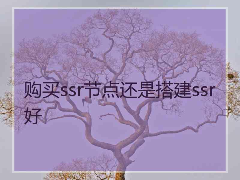 购买ssr节点还是搭建ssr好