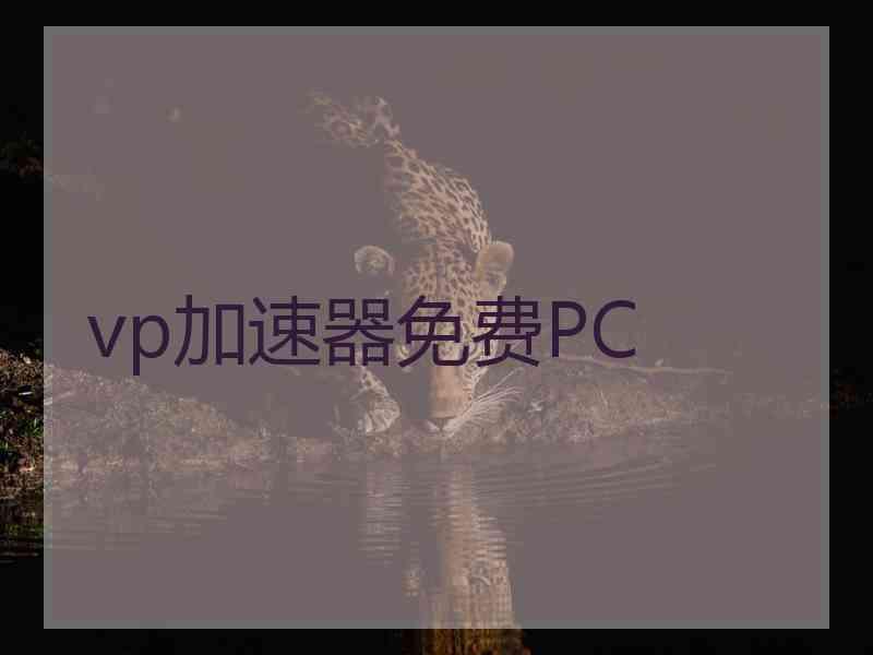 vp加速器免费PC