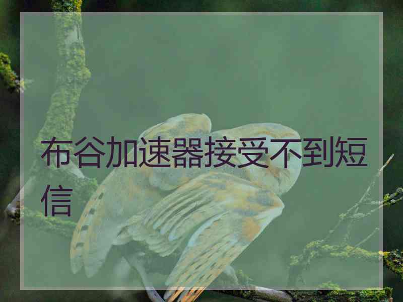 布谷加速器接受不到短信