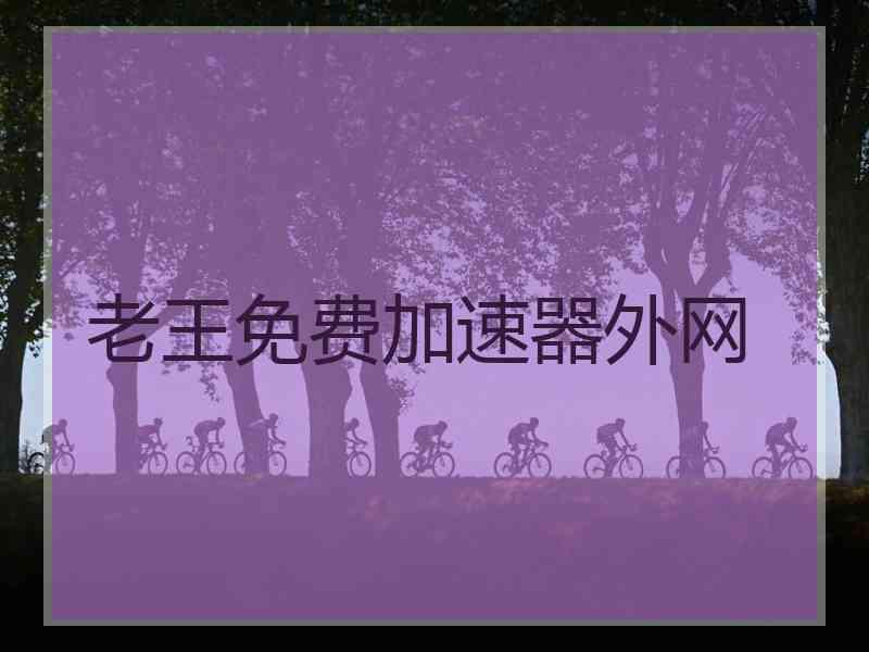 老王免费加速器外网