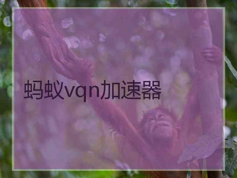 蚂蚁vqn加速器