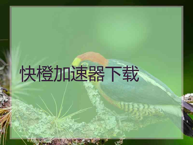 快橙加速器下载