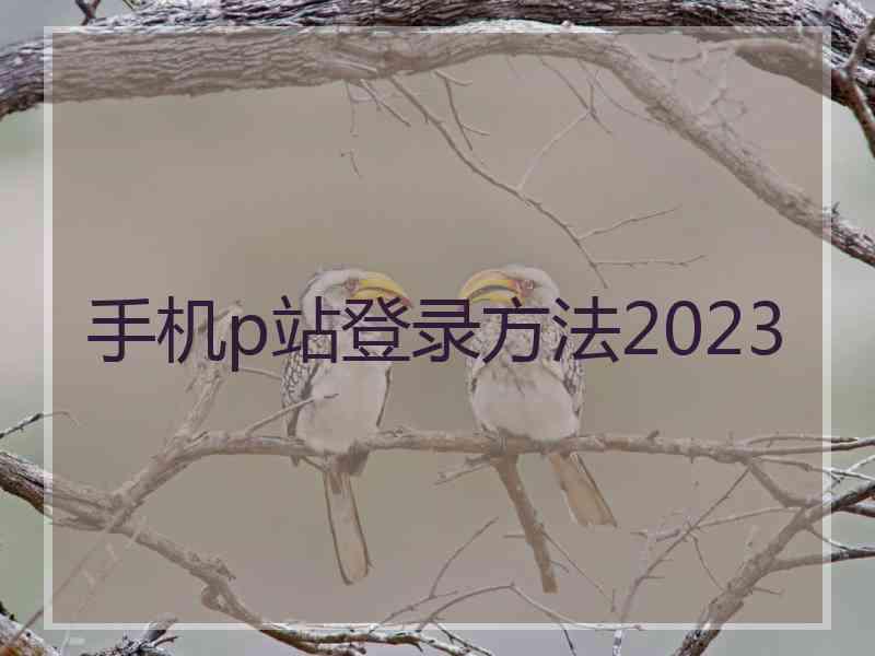 手机p站登录方法2023