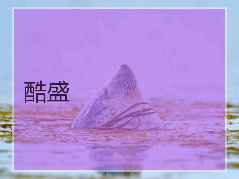 酷盛