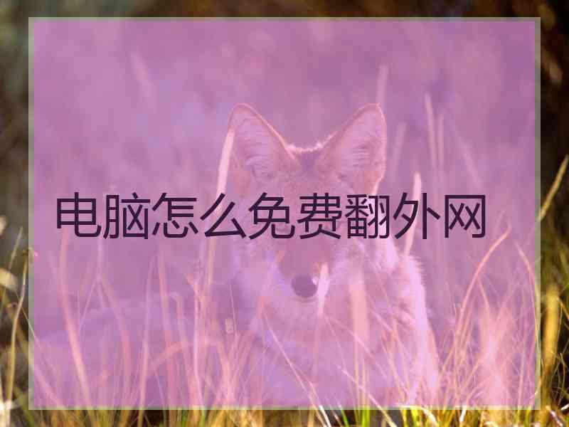 电脑怎么免费翻外网
