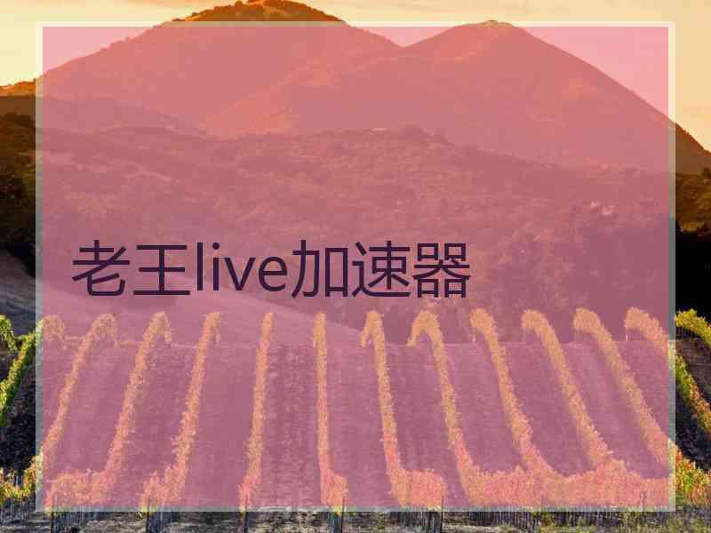 老王live加速器