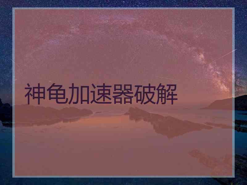 神龟加速器破解