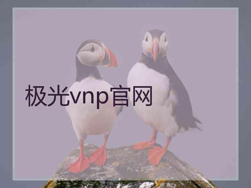 极光vnp官网