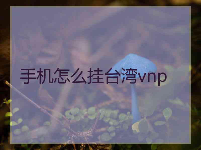 手机怎么挂台湾vnp