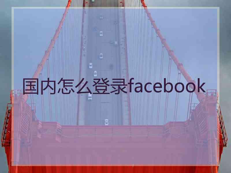 国内怎么登录facebook