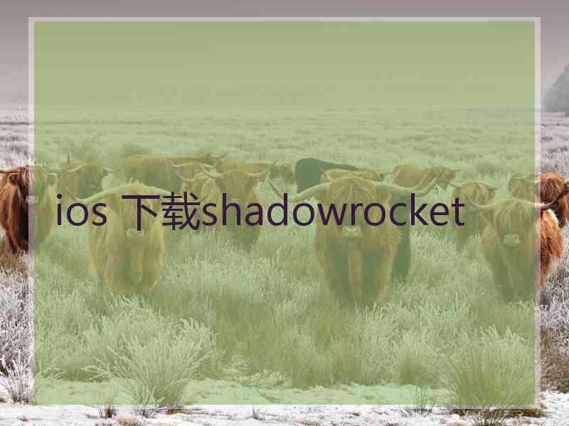 ios 下载shadowrocket