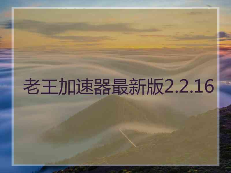 老王加速器最新版2.2.16