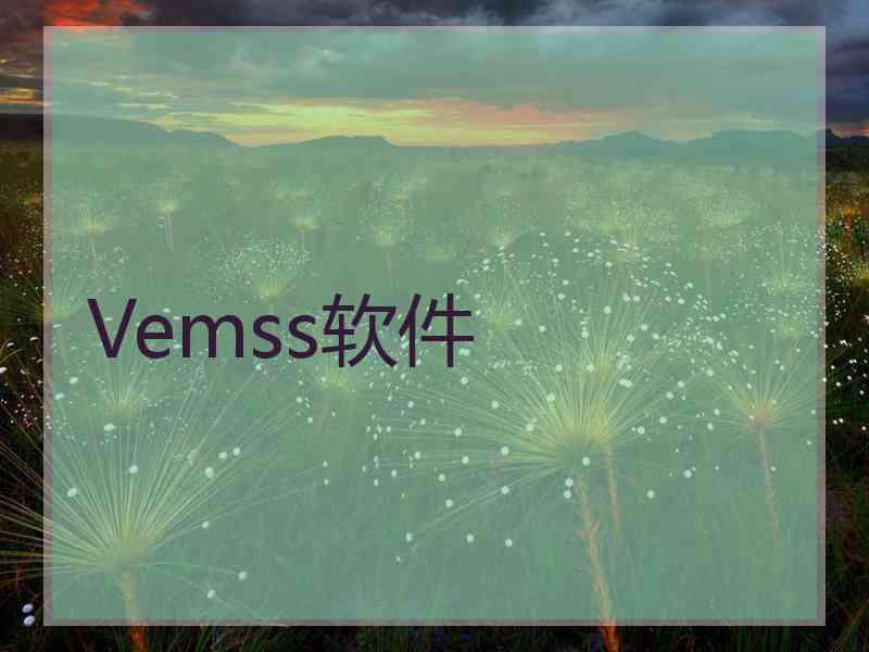 Vemss软件