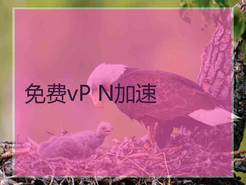 免费vP N加速