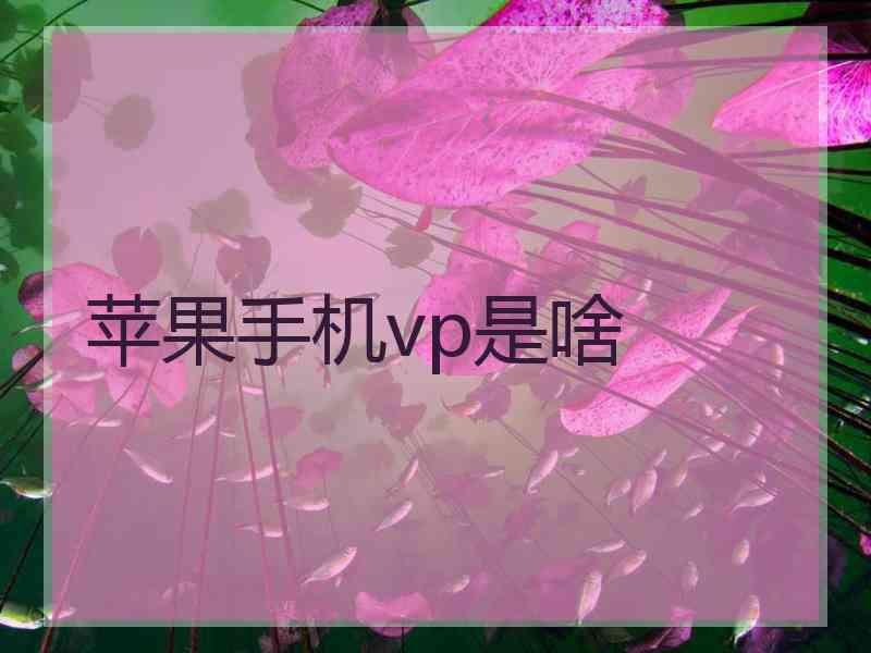 苹果手机vp是啥