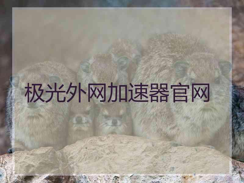 极光外网加速器官网