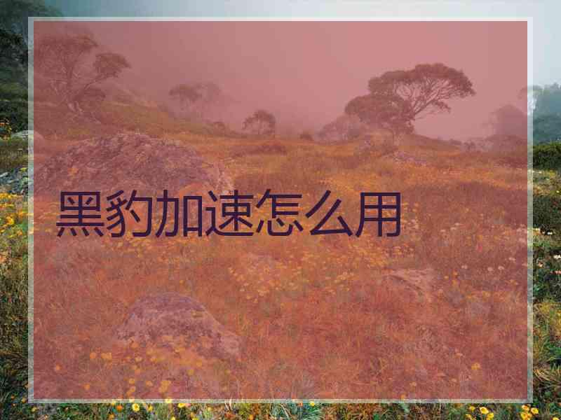 黑豹加速怎么用