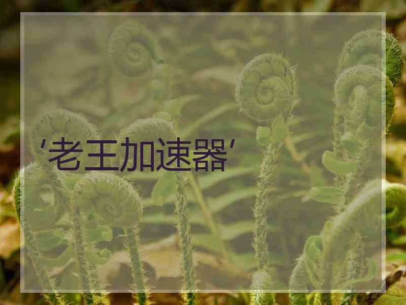 ‘老王加速器’