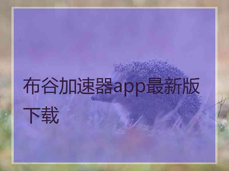 布谷加速器app最新版下载