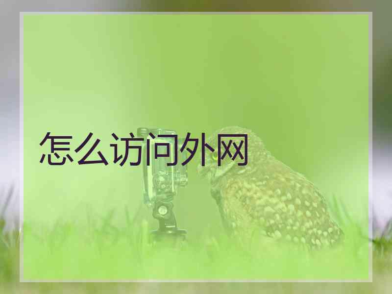 怎么访问外网