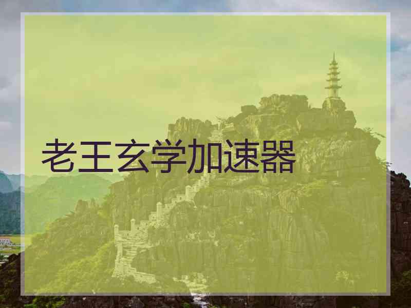老王玄学加速器