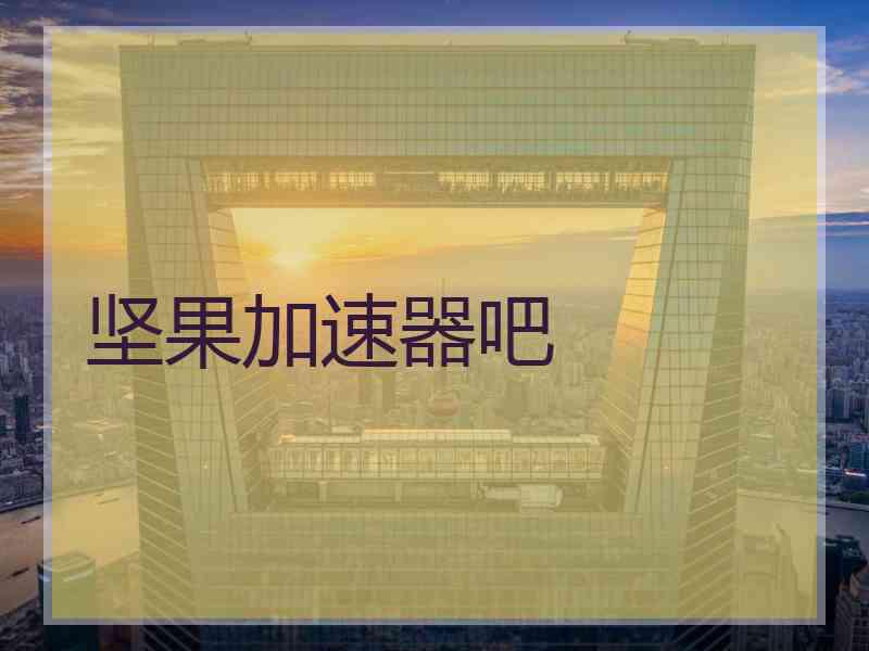 坚果加速器吧