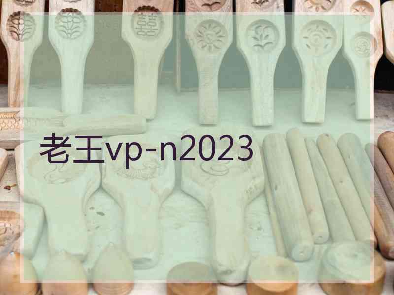 老王vp-n2023