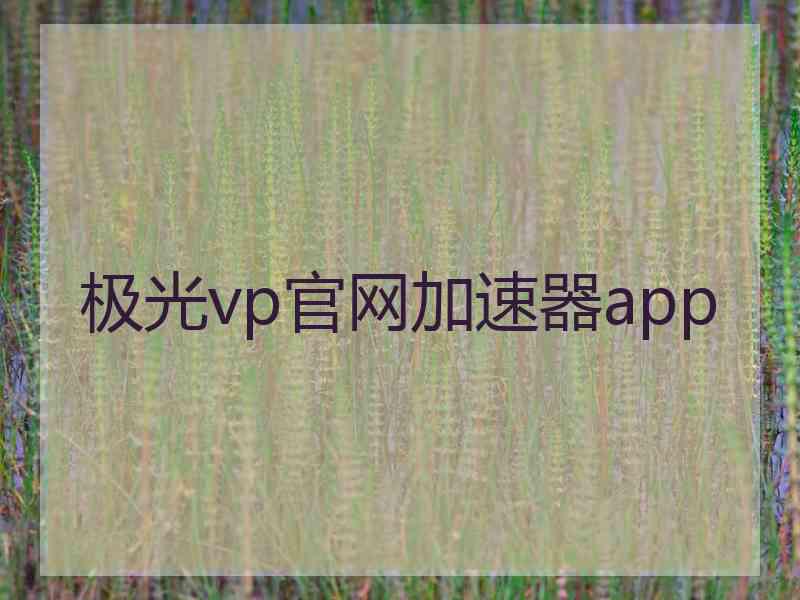 极光vp官网加速器app
