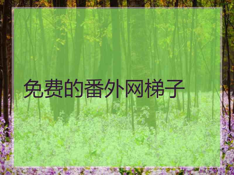 免费的番外网梯子