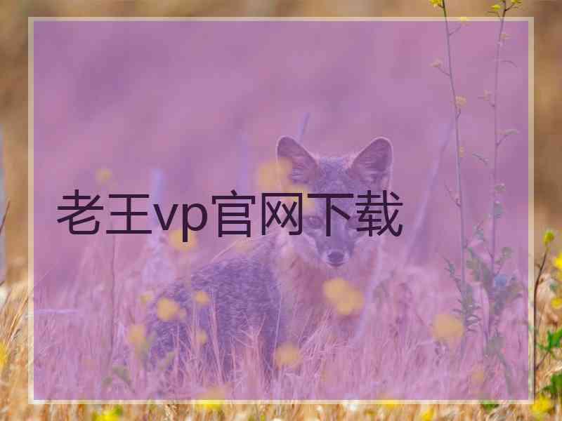 老王vp官网下载