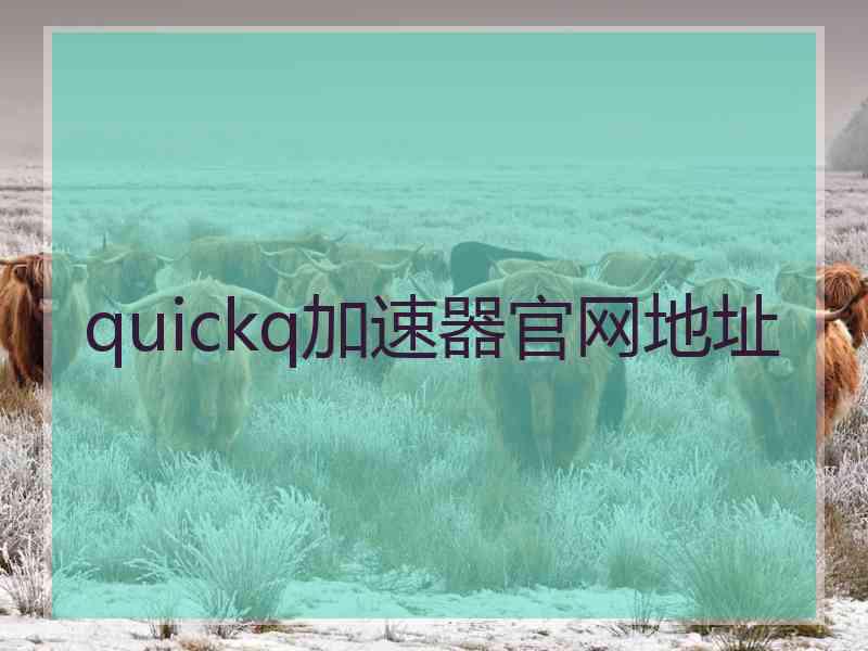 quickq加速器官网地址