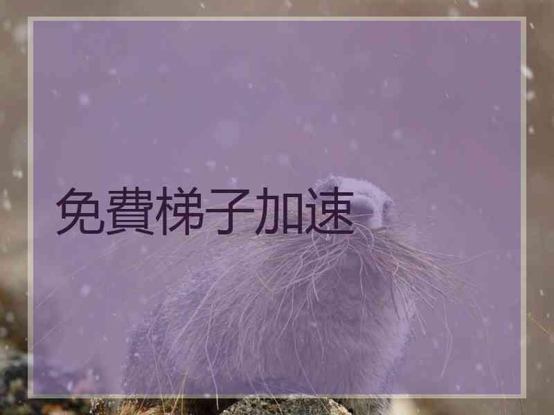 免費梯子加速